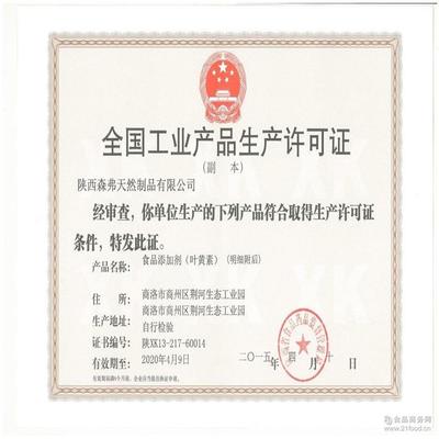 源頭工廠直供 森弗白果粉提取物熱銷中，現貨包郵，批發價格探秘工業植物提取新機遇